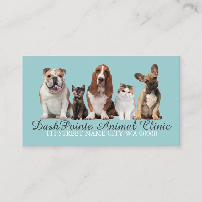 Pet Animal Clinic  Shelter Veterinary Business Card (Front)