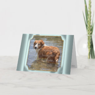 Pet bereavement PHOTO   with poem Card