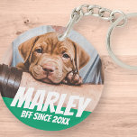 Pet BFF Best friend Photo Modern Cool Simple Keychain<br><div class="desc">Design is simple with a simple colour background and sans serif typography for a superhero look.</div>