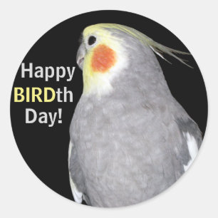 Pet Bird Cockatiel Photo Happy BIRDth Day Birthday Classic Round Sticker