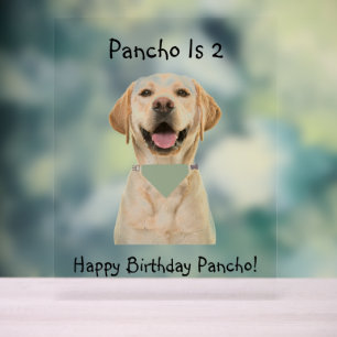 PET BIRTHDAY ACRYLIC SIGN