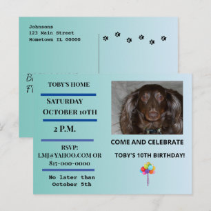 Pet Birthday Blue Line Pawprint Photo Invitation Postcard
