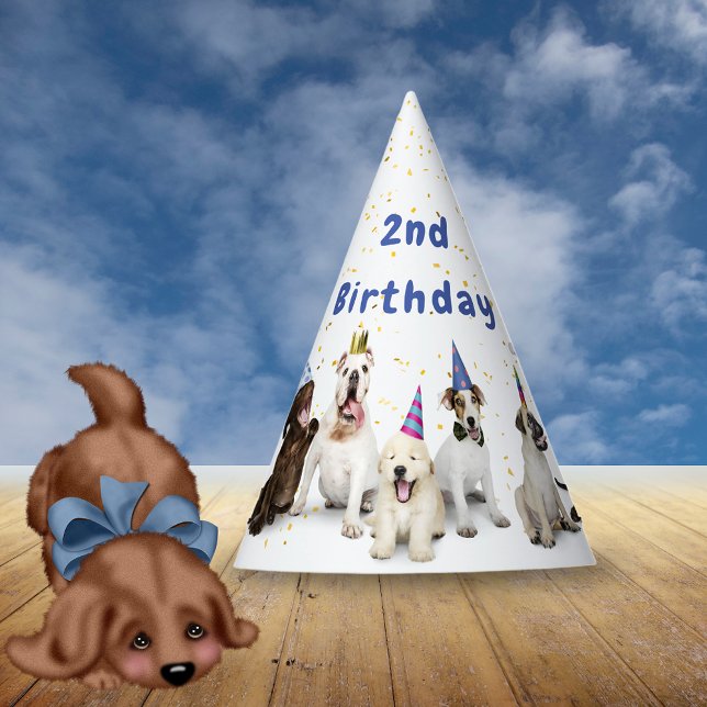 Pet Birthday Dog Party | Blue Hat (Creator Uploaded)