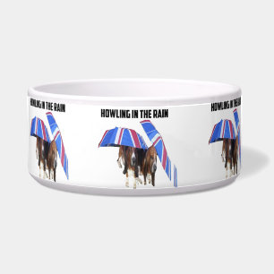 Pet Bowl Howling In The Rain