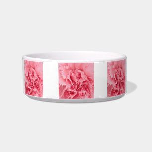 Pet Bowl Pink Carnation Close Up