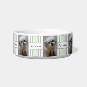 Pet Bowl With Malshi Puppy And Text