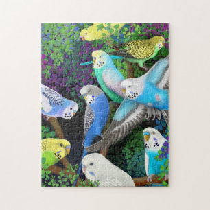 Pet Budgerigars in Ferns Puzzle