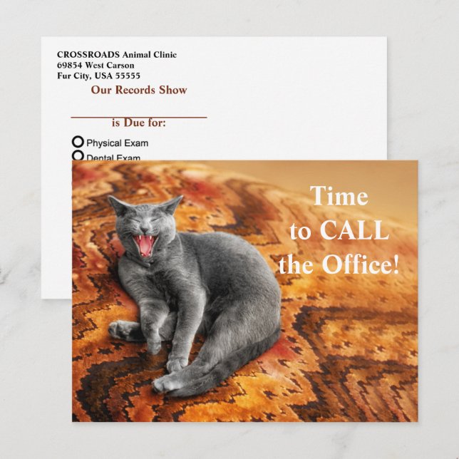Pet Business Cat Appointment Reminder Postcard (Front/Back)