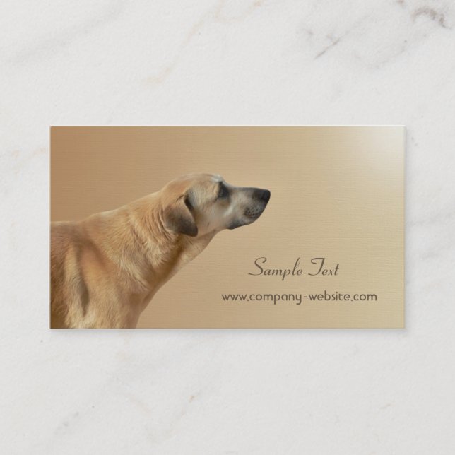 Pet Care and Adoption Business Card (Front)