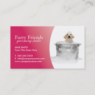 Pet Care Business Cards
