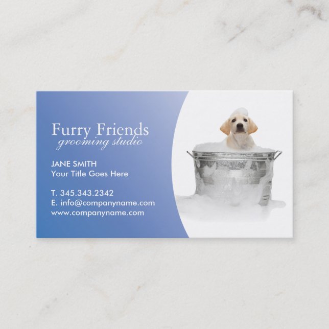Pet Care Business Cards (Front)
