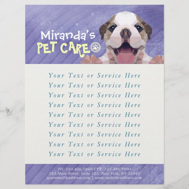 Pet Care Sitting Bathing Grooming Salon Food Shop  Flyer (Front)