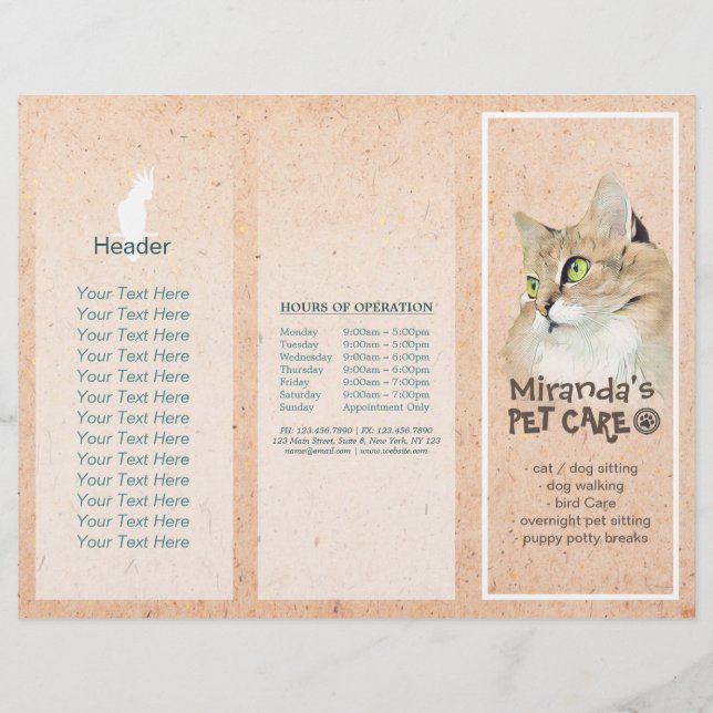 Pet Care Sitting Grooming Salon Tri-Fold Brochures (Front)