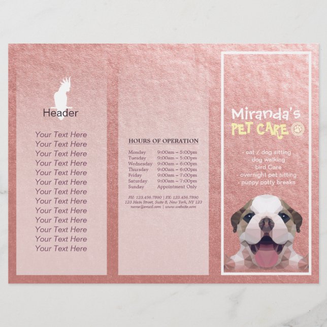 Pet Care Sitting Grooming Salon Tri-Fold Brochures (Front)