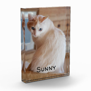 Pet Cat Dog Image Name Template DIY Vertical Photo Block