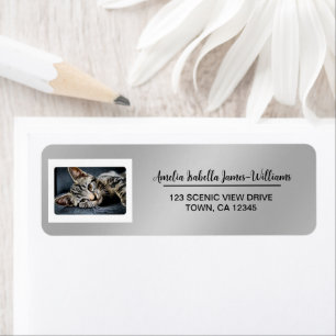 Pet Cat Dog Pet Photo Elegant Modern Silver