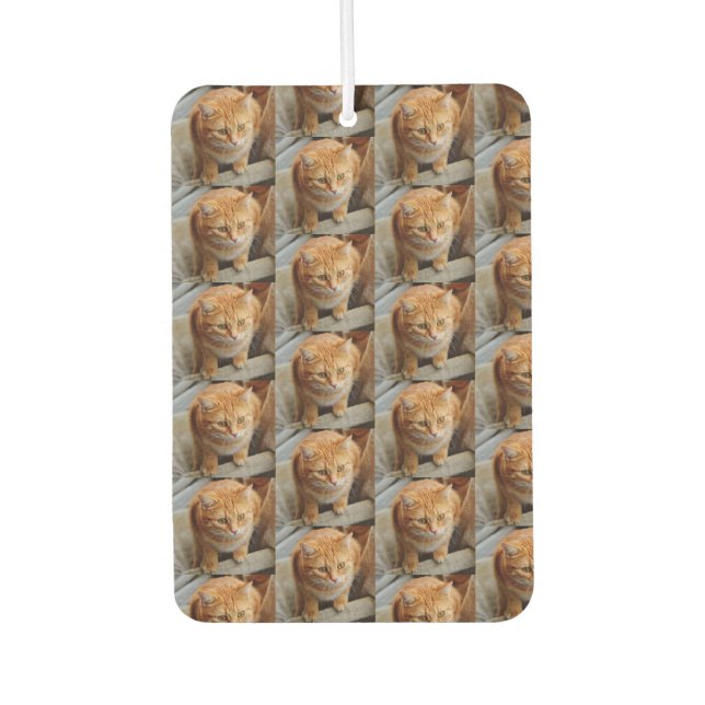 Pet Cat Dog Photo Personalize Custom Large  Air Freshener (Front)