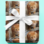 Pet Cat Dog Photo Personalize Custom Wrapping Paper<br><div class="desc">This design may be personalized by choosing the Edit Design option. You may also transfer onto other items. Contact me at colorflowcreations@gmail.com or use the chat option at the top of the page if you wish to have this design on another product or need assistance. See more of my designs...</div>