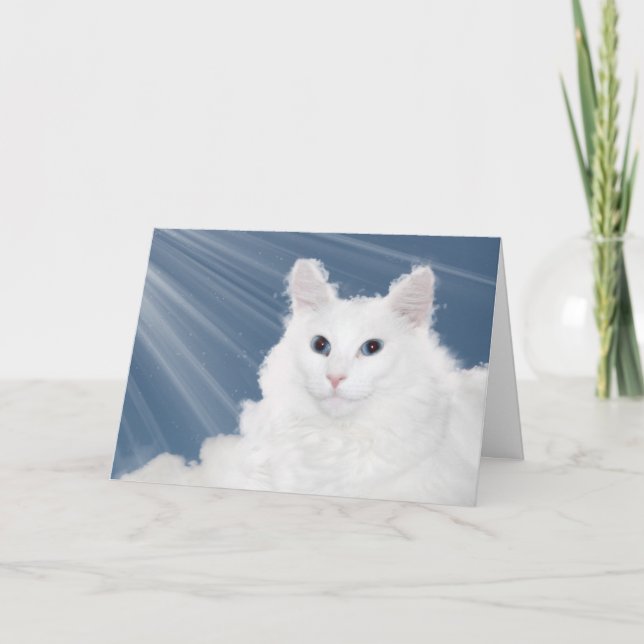 Pet cat loss sympathy card (Front)