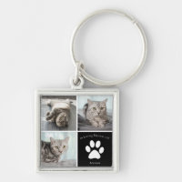Pet Cat Memorial In Loving Memory Photo