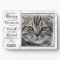 Pet Cat Memorial Pet Loss Sympathy Photo