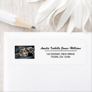 Pet Cat Photo Elegant Moderne Adresse de retour La