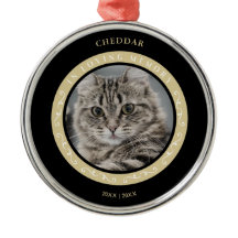 Pet Cat Photo Ornamental Remembering Loved One