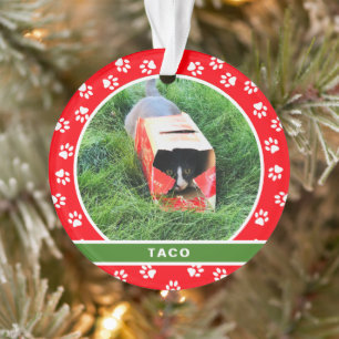 Pet Cat Photo White Paw Red Green Holiday Monogram Ornament