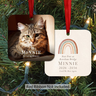 Pet Cat Rainbow Bridge Memorial Photo Christmas Metal Ornament