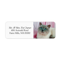 Pet Cat Return Address Labels Stickers
