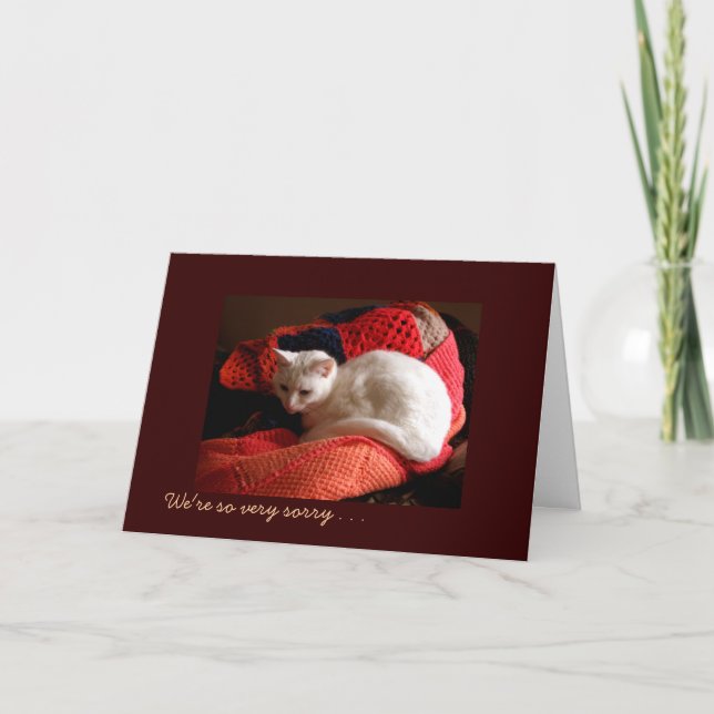 Pet Cat Sympathy Card (Front)