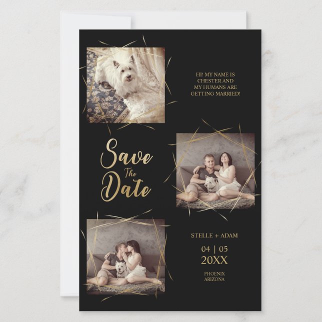 Pet Cheap Modern Calligraphy 3 Photos Engagement  (Front)