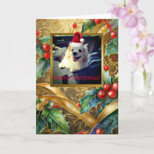 Pet Christmas, 5" x 7" Folded Greeting Card