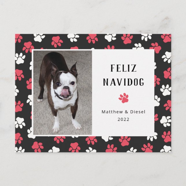 Pet Christmas Card Photo Funny (Front)