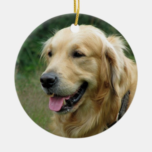 Pet Christmas photo present keepsake Ceramic Ornament (Front)
