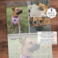 Pet Custom Photo Collage 4 Per Month