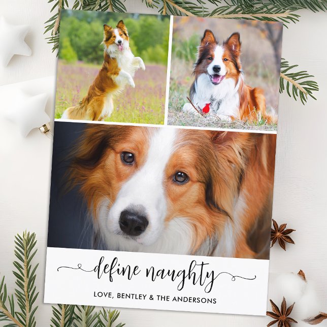 Pet Define Naughty Dog Photo Collage Christmas  Holiday Postcard (Creator Uploaded)