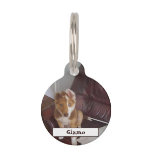 Pet Details and Photo Pet Tag