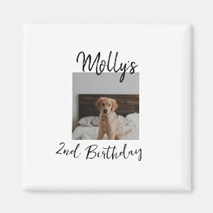 Pet dog cat animal birthday photo modern simple  magnet