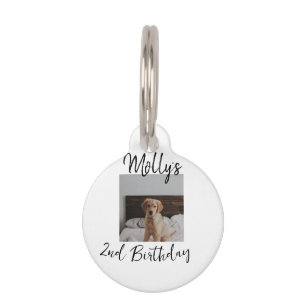 Pet dog cat animal birthday photo modern simple  pet tag
