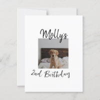 Pet dog cat animal birthday photo modern simple
