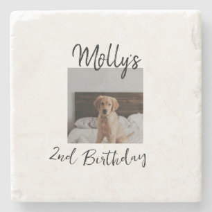 Pet dog cat animal birthday photo modern simple stone coaster
