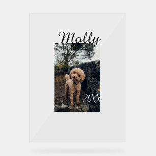 Pet dog cat animal birthday photo modern year date acrylic sign