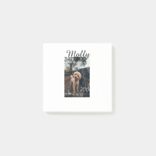 Pet dog cat animal birthday photo modern year date post-it notes
