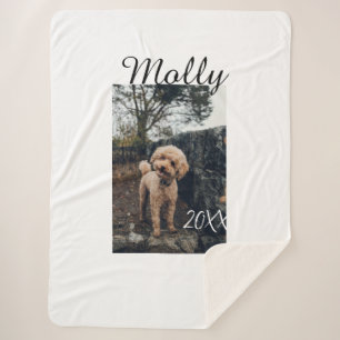 Pet dog cat animal birthday photo modern year date sherpa blanket
