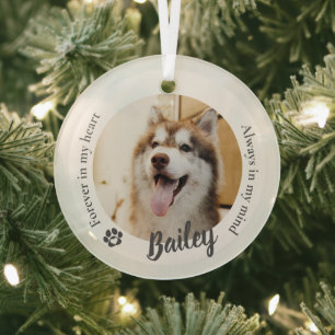 Pet Dog Cat Custom Photo Memorial Keepsake Glass Ornament