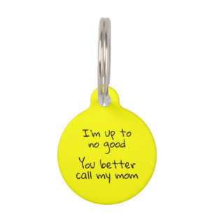 Pet Dog Cat Funny Humour ID Fluorescent Tag