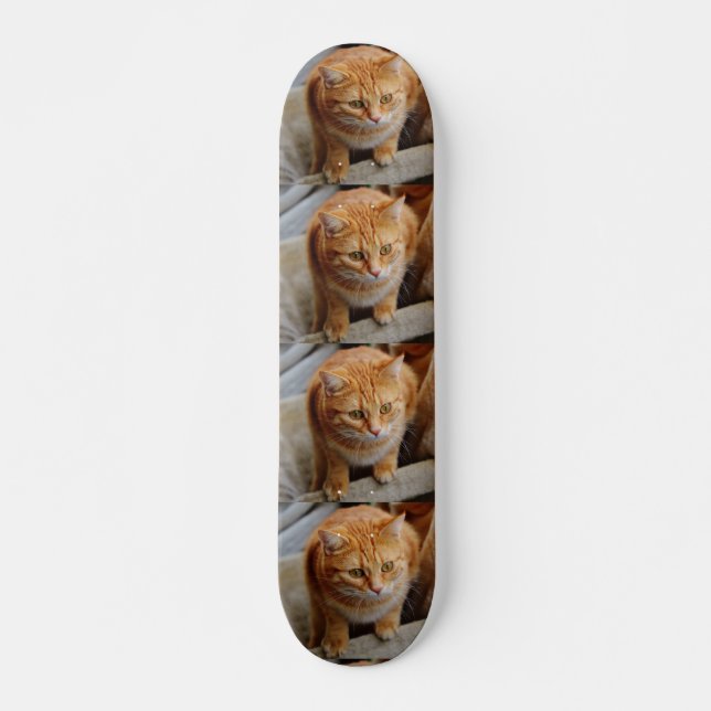 Pet Dog Cat Photo Custom Tiled Template Skateboard (Front)