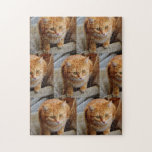 Pet Dog Cat Photo Fun Personalize Custom Jigsaw Puzzle<br><div class="desc">This design was created through digital art. It may be personalized by clicking the customize button and changing the colour, adding a name, initials or your favourite words. Contact me at colorflowcreations@gmail.com if you with to have this design on another product. Purchase my original abstract acrylic painting for sale at...</div>