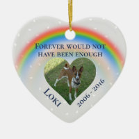 Pet Dog Cat Rainbow Bridge Photo Custom